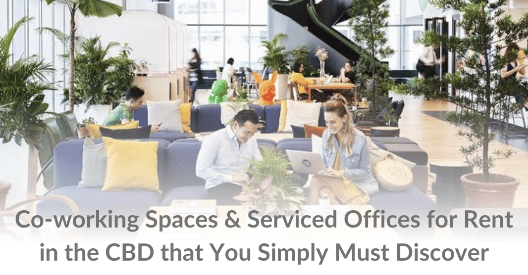FlySpaces Newsletter Headers (3)