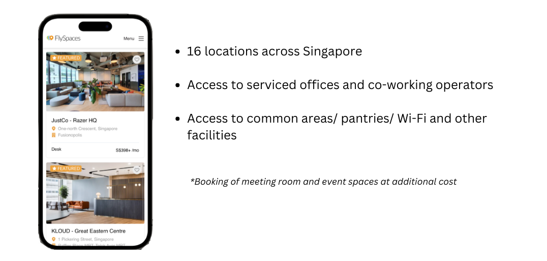 FlySpaces Passport_3-1